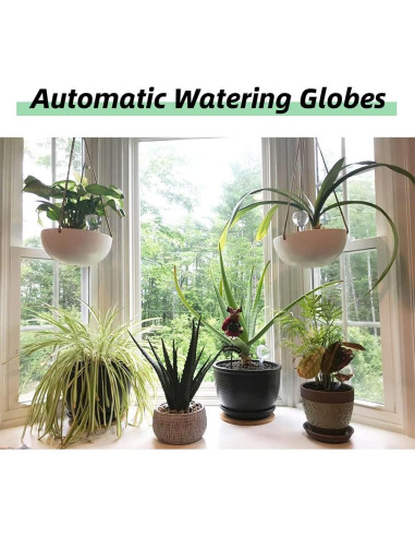 10 Piezas Bombillas de Riego Automático Gddochn para Plantas