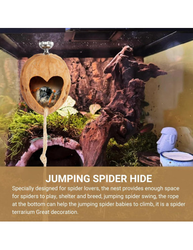 Escondite para Araña Saltadora Hecho a Mano - Terrario de Nogal