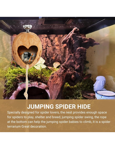 Escondite para Araña Saltadora Hecho a Mano - Terrario de Nogal Escondite para Araña Saltadora Hecho a Mano - Terrario de Nogal