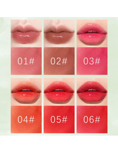 Set de Tinte para Labios Minfei 6 Colores Hidratante