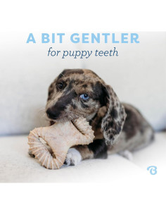 Benebone Juguetes Masticables Dentales para Cachorros 2-Pack 2