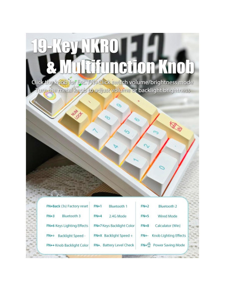 Teclado Numérico Mecánico TISHLED K19 Inalámbrico RGB Teclado Numérico Mecánico TISHLED K19 Inalámbrico RGB