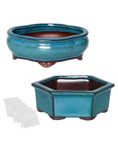 Maceta de Bonsai Happy Bonsai Juego de 2 Cerámica Azul