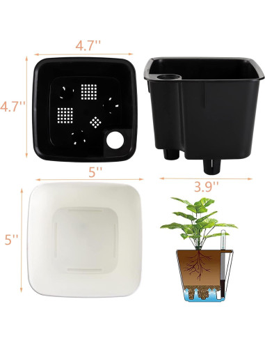 Yarlung 6 Macetas Autorriego 12.7 cm con Indicador de Agua