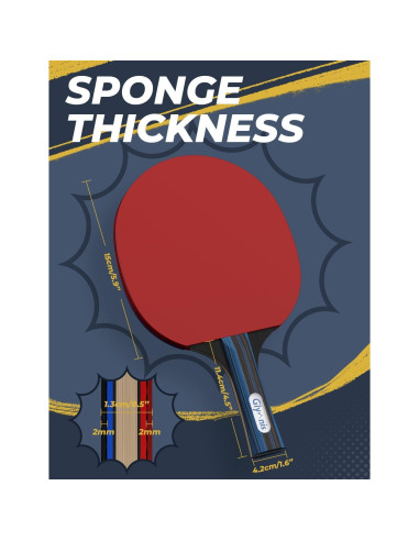 Juego de Palas de Ping Pong Glymnis 4 Raquetas y 8 Pelotas