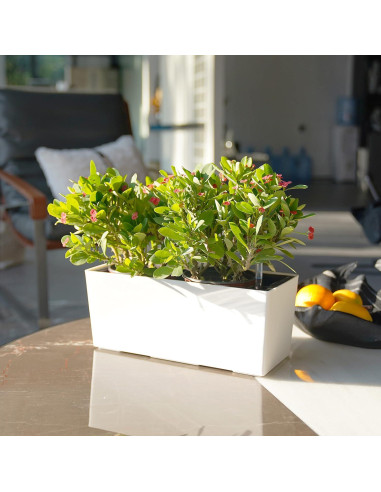 Maceta Rectangular Autorriego SAROSORA 36x15x15 cm Blanca