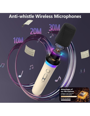 Máquina de Karaoke HWWR D30T con 2 Micrófonos Inalámbricos
