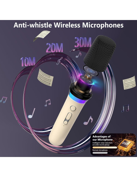 Máquina de Karaoke HWWR D30T con 2 Micrófonos Inalámbricos Máquina de Karaoke HWWR D30T con 2 Micrófonos Inalámbricos