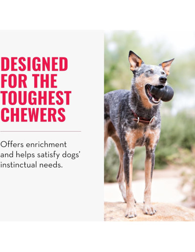 KONG Extreme Juguete para Perros Grande - Caucho Duradero