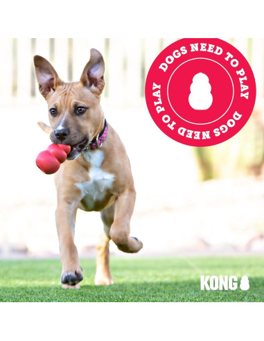 KONG Extreme Juguete para Perros Grande - Caucho Duradero