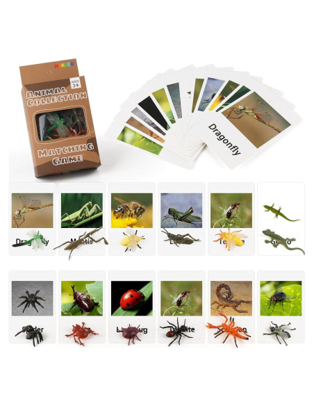 Juego Montessori MEROCO Insectos y Tarjetas de Emparejamiento Juego Montessori MEROCO Insectos y Tarjetas de Emparejamiento