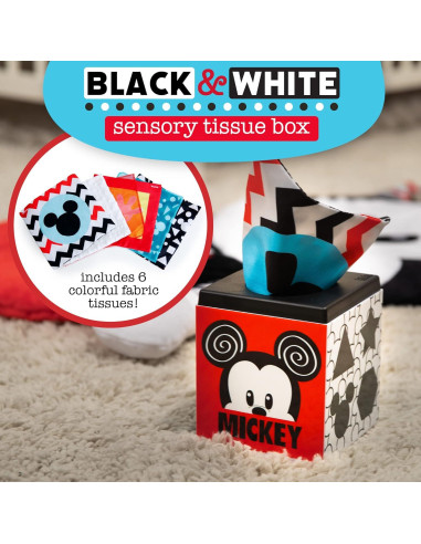 Juguete de Caja de Tejidos Disney Baby Mickey y Minnie 0-3 años