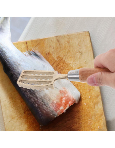 Raspador de Escamas de Pescado Ciieeo - Acero Inoxidable y Madera Raspador de Escamas de Pescado Ciieeo - Acero Inoxidable y Madera