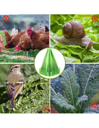 20 Piezas Campanas de Jardín Reutilizables Rex 22cm PVC