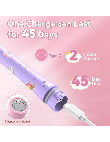 Cepillo de dientes eléctrico JTF para niños rosa recargable Cepillo de dientes eléctrico JTF para niños rosa recargable