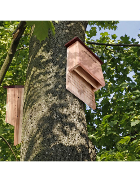 Casa de Murciélagos MIXXIDEA Doble Cámara Madera de Cedro Casa de Murciélagos MIXXIDEA Doble Cámara Madera de Cedro
