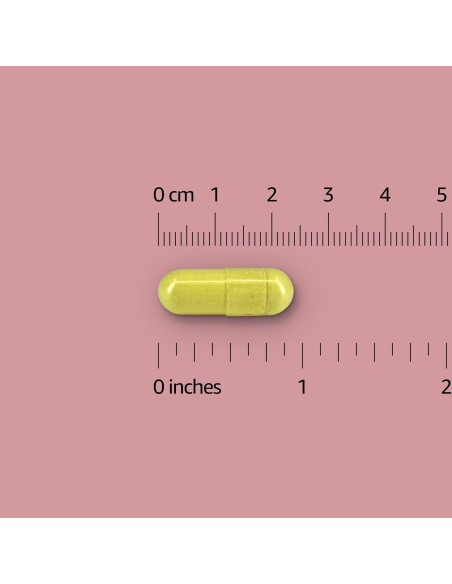Suplemento Vegano CoQ10 100 mg Amazon Elements 60 Cápsulas Suplemento Vegano CoQ10 100 mg Amazon Elements 60 Cápsulas