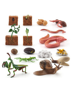 Set Educativo de Animales de Granja WONWONTOYS Ciclo de Crecimiento