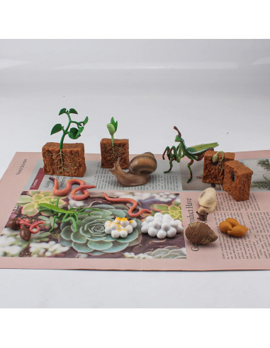 Set Educativo de Animales de Granja WONWONTOYS Ciclo de Crecimiento