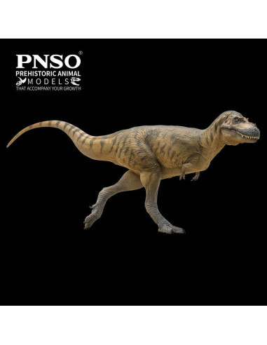 Modelo Dinosaurio Prehistórico PNSO Wally El Albertosaurus