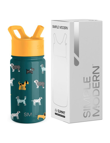 Botella de Agua Aislada Simple Modern 414ml para Niños