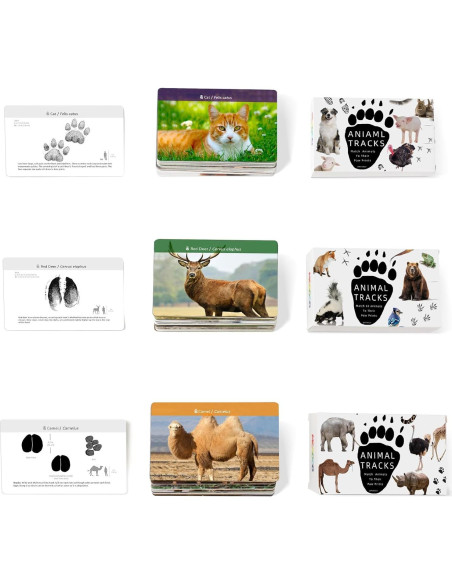 MEROCO Juego de Cartas de Huellas de Animales 168 Piezas MEROCO Juego de Cartas de Huellas de Animales 168 Piezas