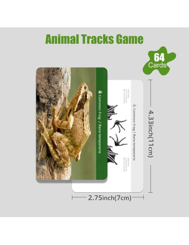 Tarjetas de Huellas de Animales MEROCO 64 Piezas Educativas