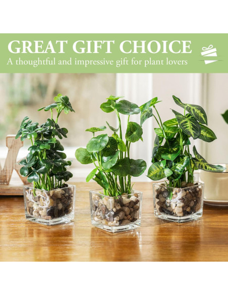 Set de 3 Plantas Falsas MyGift en Macetas de Vidrio 24.1 cm Set de 3 Plantas Falsas MyGift en Macetas de Vidrio 24.1 cm