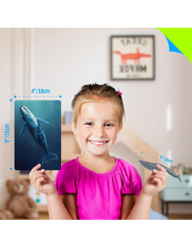 24 Figuras de Animales + 24 Tarjetas Educativas - SpriteGru