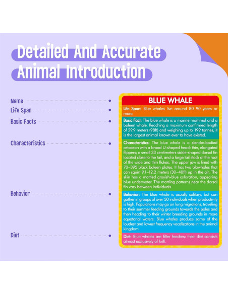 24 Figuras de Animales + 24 Tarjetas Educativas - SpriteGru 24 Figuras de Animales + 24 Tarjetas Educativas - SpriteGru