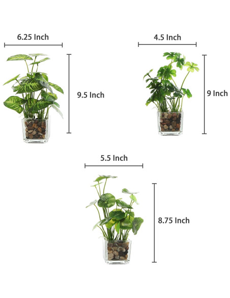Set de 3 Plantas Falsas MyGift en Macetas de Vidrio 24.1 cm Set de 3 Plantas Falsas MyGift en Macetas de Vidrio 24.1 cm