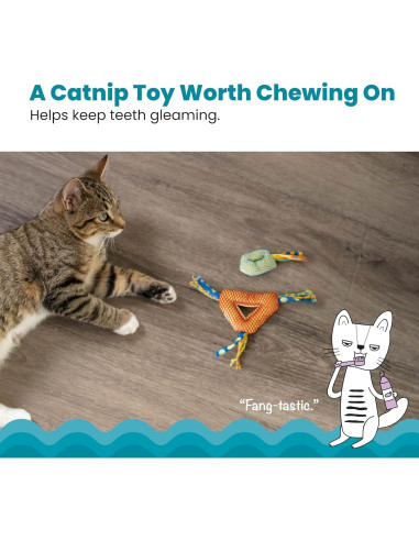 Juguete Masticable Dental Petstages 8.89x3.05cm con Catnip