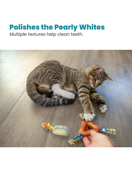 Juguete Masticable Dental Petstages 8.89x3.05cm con Catnip Juguete Masticable Dental Petstages 8.89x3.05cm con Catnip