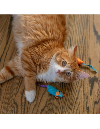 Juguete Dental para Gatos PetStages - 2 Ratones con Hierba