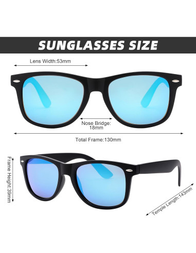 Gafas de sol Pro Acme UV400 polarizadas unisex negras