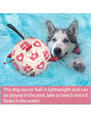 Pelota de Fútbol QDAN Rosa para Perros Medianos y Grandes