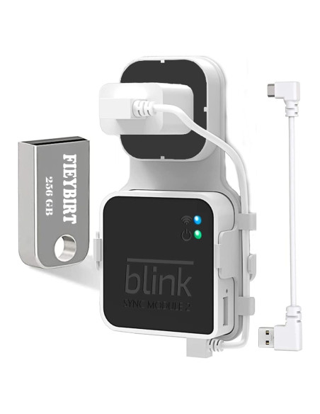 Unidad Flash USB Fieybirt 256GB para Módulo Blink 2 Unidad Flash USB Fieybirt 256GB para Módulo Blink 2