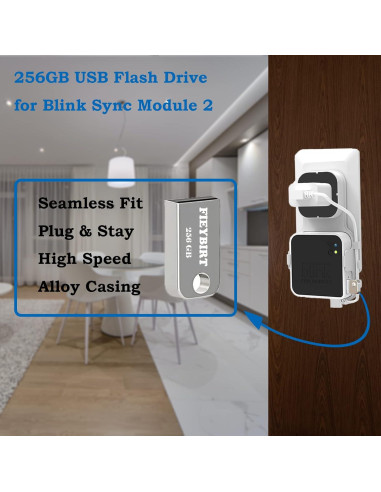 Unidad Flash USB Fieybirt 256GB para Módulo Blink 2