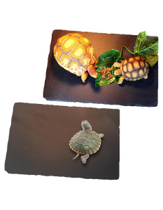 Plataforma de Sol para Tortugas Tfwadmx 2Pcs 30x20cm