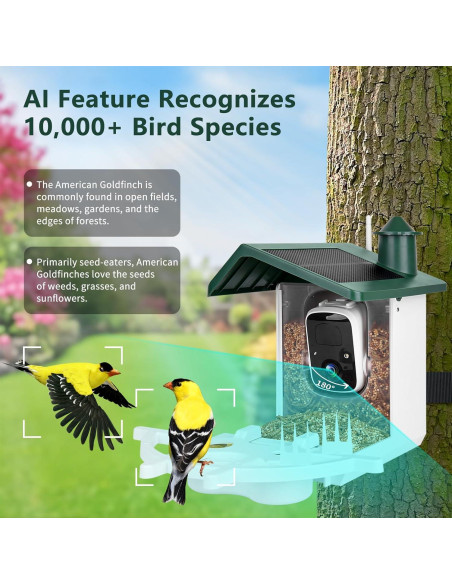 Comedero Inteligente Aquatrend con Cámara Solar 2K para Aves Comedero Inteligente Aquatrend con Cámara Solar 2K para Aves