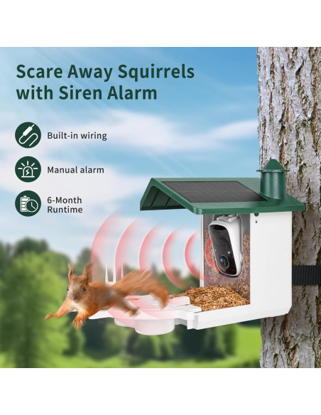 Comedero Inteligente Aquatrend con Cámara Solar 2K para Aves Comedero Inteligente Aquatrend con Cámara Solar 2K para Aves