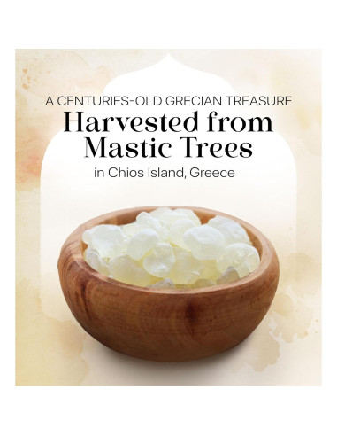 Goma Mastic Natural Cerez Pazari 25 g Vegana Sin Azúcar