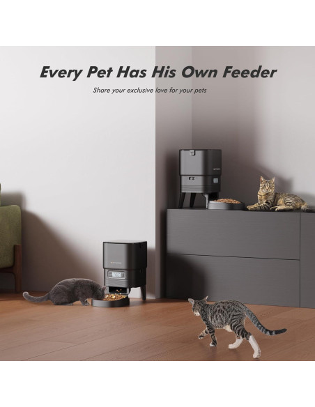 Comedero Automático Nityers 4L para Gatos y Perros Pequeños Comedero Automático Nityers 4L para Gatos y Perros Pequeños