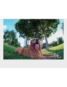 Lente Ojo de Pez 7.5mm F2 TTArtisan para Nikon Z - Gran Angular 180 2