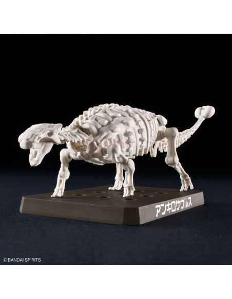Kit de Modelo Dinosaurio Ankylosaurus Bandai Plannosaurus Kit de Modelo Dinosaurio Ankylosaurus Bandai Plannosaurus