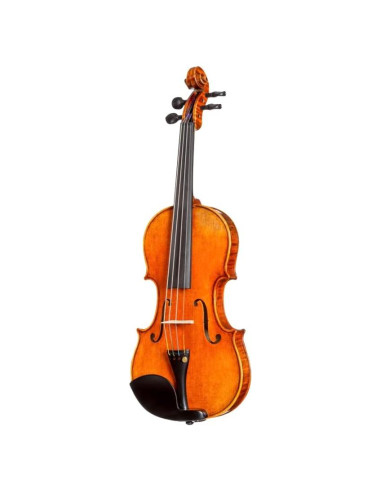 D Z Strad Violín 4/4 Modelo 250 con Estuche y Accesorios