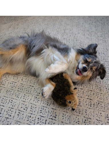 Juguete de Peluche Erizo Mediano Outward Hound para Perros