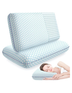 Juego de 2 Almohadas de Espuma Viscoelástica CushyOasis