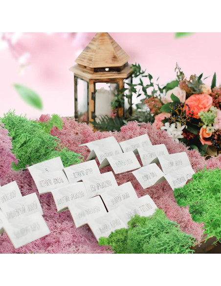 Kit de Escenario Rosa QUOZUO 10 Accesorios Jardín Mini Kit de Escenario Rosa QUOZUO 10 Accesorios Jardín Mini