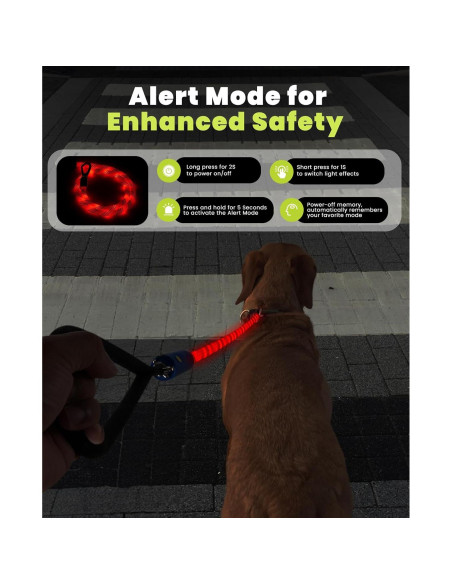 Correa LED para Perros XEUCH 5 Pies Recargable 13 Modos Correa LED para Perros XEUCH 5 Pies Recargable 13 Modos